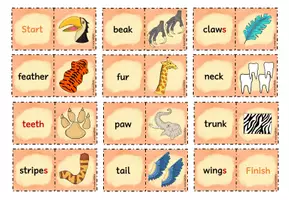 Vorschau - Spiele - ANIMAL BODY PARTS: Domino - Seite 3