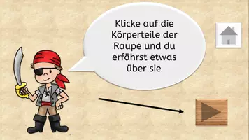 Vorschau - Videos - Aufbau der Raupe interaktiv und Video - Seite 1