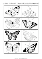 Vorschau - Unterrichtsreihen - Leporello Schmetterlinge | Sachunterricht ab Klasse 1 - Seite 3