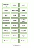 Vorschau - Arbeitsblätter - Schmetterling - Dosendiktat, individuelle Auftragskarte & Wörter - Seite 1