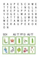 Vorschau - Spiele - Schmetterling - Schachtelwörter - Seite 1