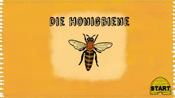 Vorschau - Fördermaterial/Inklusion - Die Honigbiene - interaktiv - PDF - mit Quiz zur Selbstkontrolle - Seite 1