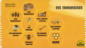Vorschau - Fördermaterial/Inklusion - Die Honigbiene - interaktiv - PDF - mit Quiz zur Selbstkontrolle - Seite 3