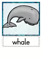 Vorschau - Spiele - Bildkarten und Wortschatzkärtchen Ocean animals - Seite 3