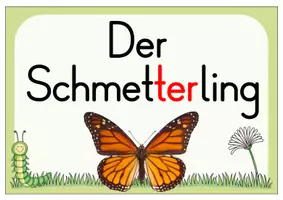 Vorschau - Poster - Der Schmetterling (Themenplakat) - Deckblatt