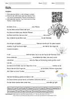 Vorschau - Arbeitsblätter - Arbeitsblatt zum Thema "Blüte" + Onlineübung & MP3 + - Deckblatt
