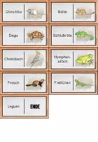 Vorschau - Spiele - Haustiere - Dominospiel - Seite 2
