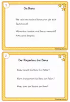 Vorschau - Arbeitsblätter - Die Biene - Abschreib- und Wissenskartei - 3fach differenziert - Seite 3