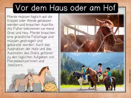 Vorschau - Unterrichtsreihen - Haustiere - Haltung vor dem Haus und am Hof (Pferd) - Seite 2
