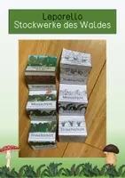 Vorschau - Anderer Materialtyp - Leporello - Stockwerke des Waldes - Deckblatt