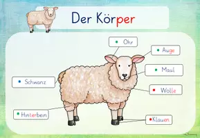 Vorschau - Arbeitsblätter - Bauernhof: Schaf (Kl.1/2.) - Seite 3