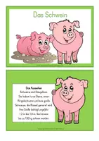 Vorschau - Stundenentwürfe - Tierkartei mit Abschreibheftchen - SCHWEIN - Seite 1