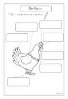 Vorschau - Arbeitsblätter - Bauernhof: Huhn (Kl.1/2) - Seite 3