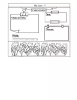Vorschau - Arbeitsblätter - Stockwerke des Waldes Flipbook Klasse 5–7 – Arbeitsblatt & Bastelvorlage (Biologie) - Seite 3