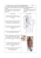 Vorschau - Experimente - Forellenpräparationsanleitung - Deckblatt