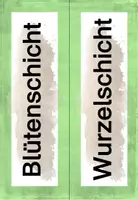 Vorschau - Poster - Stockwerke der Wiese - Tafelmaterial - Seite 3