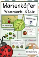 Vorschau - Arbeitsblätter - Marienkäfer: Wissenskartei und Quiz - Deckblatt