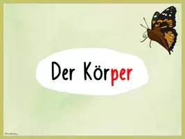 Vorschau - Stationenlernen - Wissenskartei & Quiz - Schmetterling - Seite 2