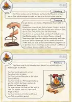 Vorschau - Fördermaterial/Inklusion - Feuer in der Steinzeit - Kartei - - Seite 3
