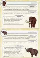 Vorschau - Fördermaterial/Inklusion - Tiere der Steinzeit - Kartei - - Seite 3