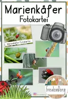 Vorschau - Bildkarten - Marienkäfer Fotokartei - Deckblatt