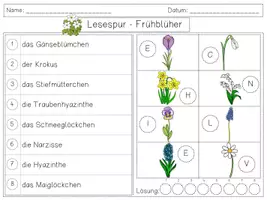 Vorschau - Arbeitsblätter - Bundle - 5 x Mini Lesespur Sommer // Bei den Piraten // Obst & Gemüse // Tiere im Wald // Frühblüher - Materialpaket - Seite 3