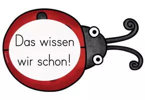 Vorschau - Unterrichtsreihen - Marienkäfer - Reihentransparenz - Seite 2
