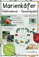 Vorschau - Präsentationen/Tafelbilder - Marienkäfer - Tafelmaterial - GESAMTPAKET - Deckblatt