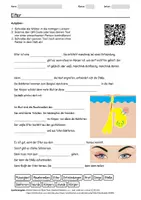 Vorschau - Arbeitsblätter - Arbeitsblatt zum Thema "Eiter" + Onlineübung & MP3 + - Deckblatt