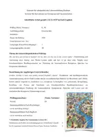Vorschau - Stundenentwürfe - Unterrichtspraktische Prüfung - Examen Englisch (sehr gut, Note 1) zu LONDON SIGHTS - Seite 1