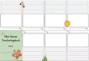 Vorschau - Arbeitsblätter - Schmetterling - Forscherheft/Tagebuch - Seite 1