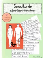 Vorschau - Unterrichtsreihen - Sexualkunde/Sexualerziehung - Tafelbild äußere Geschlechtsmerkmale Frau/Mann - Deckblatt