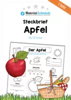 Vorschau - Arbeitsblätter - Steckbrief Apfel - Deckblatt