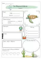 Vorschau - Arbeitsblätter - Steckbrief zur Meeresschildkröte - Seite 2