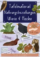 Vorschau - Stundenentwürfe - Nahrungsbeziehungen Wiese & Hecke Tafelmaterial - Wer frisst wen/was? - Deckblatt