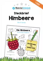 Vorschau - Arbeitsblätter - Steckbrief Himbeere - Deckblatt