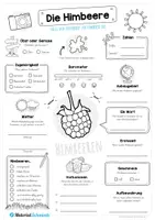 Vorschau - Arbeitsblätter - Steckbrief Himbeere - Seite 1
