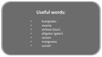Vorschau - Präsentationen/Tafelbilder - The Everglades (USA/Florida) Fotoshow/Bildkarten + useful vocabulary (PPTX/PPSX/PDF) - Seite 2