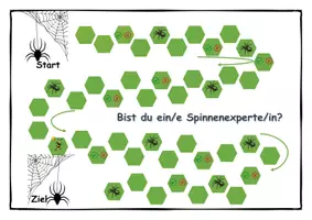 Vorschau - Spiele - Würfelspiel Spinne lovetoteach - Seite 2