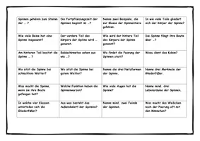 Vorschau - Spiele - Würfelspiel Spinne lovetoteach - Seite 3