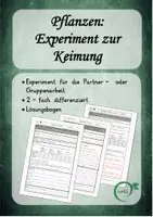 Vorschau - Arbeitsblätter - Pflanzen: Experiment zur Keimung, differenziert - Deckblatt