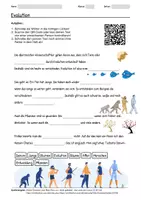 Vorschau - Arbeitsblätter - Arbeitsblatt zum Thema "Evolution" + Onlineübung & MP3 + Mindmap + Infografik - Deckblatt