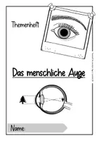 Vorschau - Arbeitsblätter - Themenheft - Das menschliche Auge - Sachunterricht (NaWi) Klasse 3, Klasse 4, Klasse 5, mit Lösungen, Tafelmaterial und Test - Seite 2