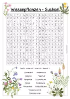 Vorschau - Arbeitsblätter - Wiesenpflanzen - Suchsel (Wiese/Blumen) - Deckblatt