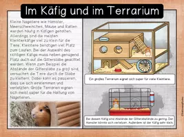 Vorschau - Unterrichtsreihen - Haustiere - Hamster - Seite 1