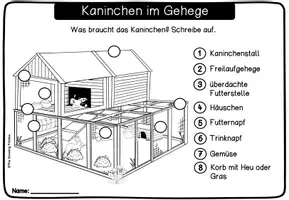 Vorschau - Unterrichtsreihen - Haustiere - Kaninchen - Seite 2