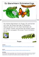 Vorschau - Arbeitsblätter - Flippbook - so überwintern Schmetterlinge - Seite 1
