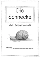 Vorschau - Arbeitsblätter - Schnecken - Ein Selbstlernheft ab Klasse 2 (mit interaktiver PDF) - Seite 3