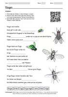 Vorschau - Arbeitsblätter - Arbeitsblatt zum Thema "Fliegen" + Onlineübung & MP3 + Infografik - Deckblatt