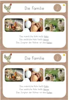 Vorschau - Unterrichtsreihen - Lerntheke Huhn - Haustier/ Nutztier, Familie - Seite 3